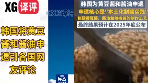 黄豆酱