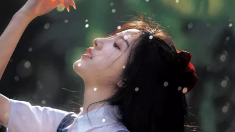 易会满政协委员资格被撤销