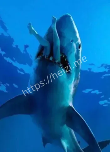 三亚鲨鱼吃人