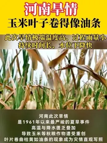河南旱情