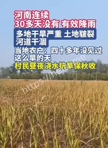河南干旱