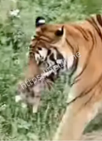 青海西宁野生动物园