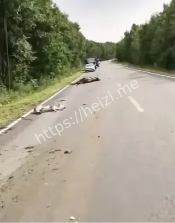 黑龙江黑河逊克县