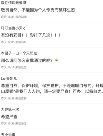 蔡国强升龙项目争议