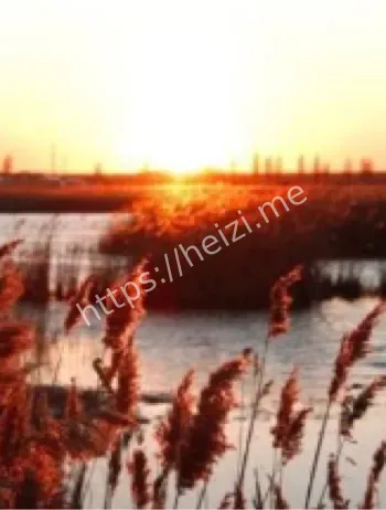 莫维莱洞细菌共生进化