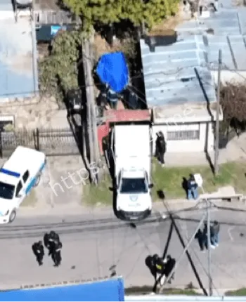 误上贼车死亡派对真相