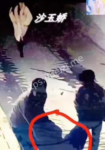 罗大美遇害案宣判