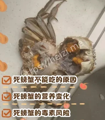 刚死不久的螃蟹