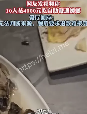 济南海鲜自助蟑螂事件