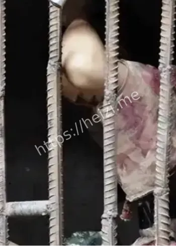 泉州温州公诉四大家族