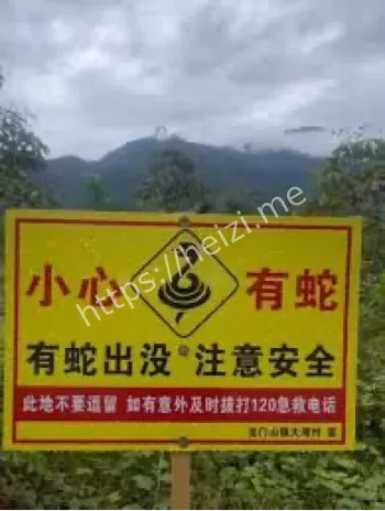 蛇出没告示牌