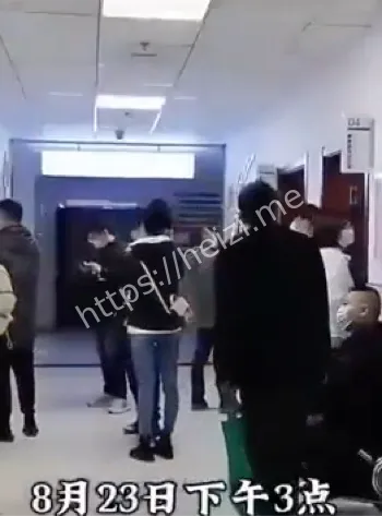 医院器官捐赠内幕曝光