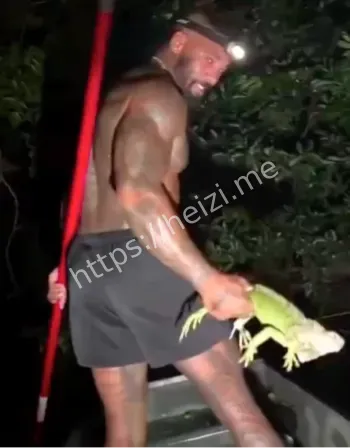 入侵巨蟒生态危机