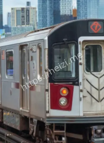 纽约J线列车顶悲剧