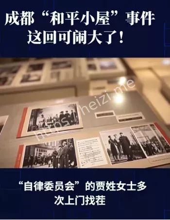 贾女士诱骗毁物