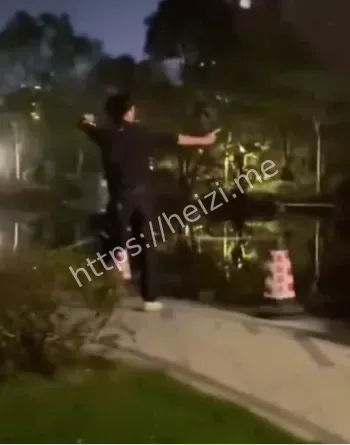 流浪猫被复合弓射杀