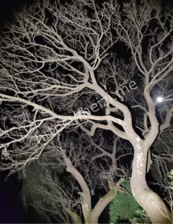 杭州香格里拉女鬼招手事件