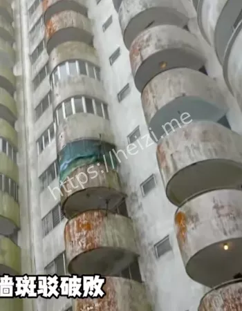 马来西亚女鬼袭人事件