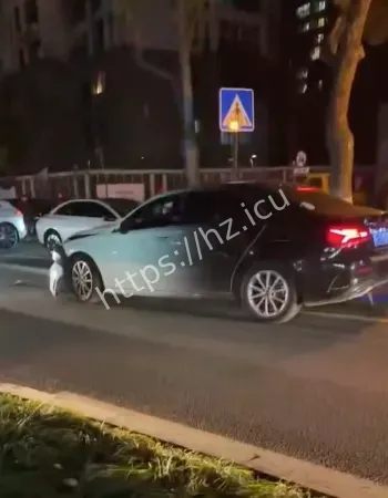 事件视频刚曝光就遭封杀