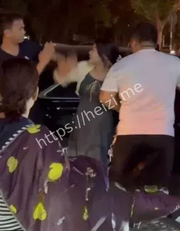 扯出省机关绝版牌