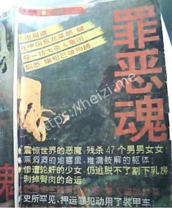 贾文革奸杀藏尸