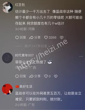 蓝战非南非劫持详细经过