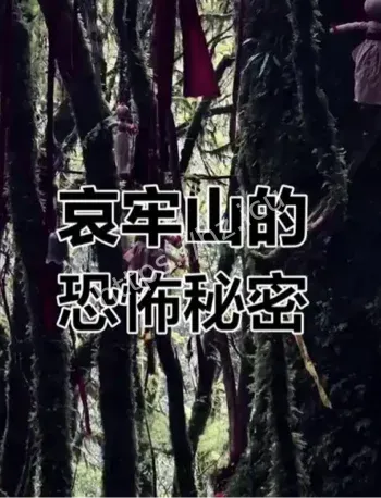 哀牢山地质队员失联事件