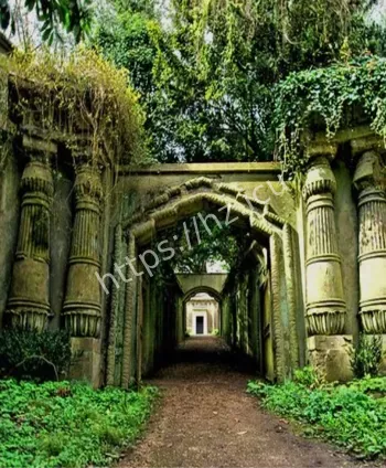 高个黑影红眼睛