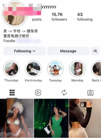 受害者卧底复仇行动