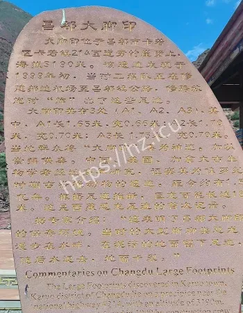 惊现神秘巨型大脚印